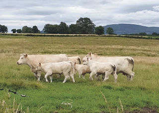 une situation très favorable !